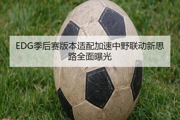 EDG季后赛版本适配加速中野联动新思路全面曝光 | BAJIESPORTS